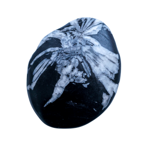 Chrysanthemum Stone Touchstone, Panidea Jewelry